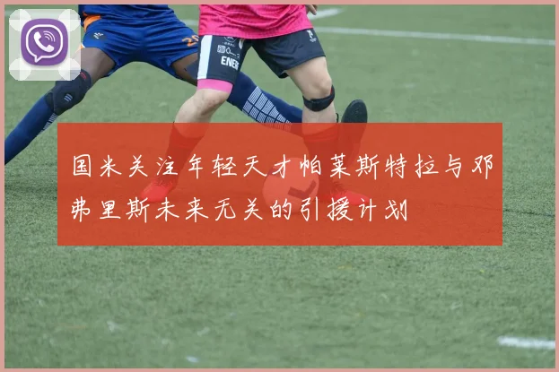 国米关注年轻天才帕莱斯特拉与邓弗里斯未来无关的引援计划